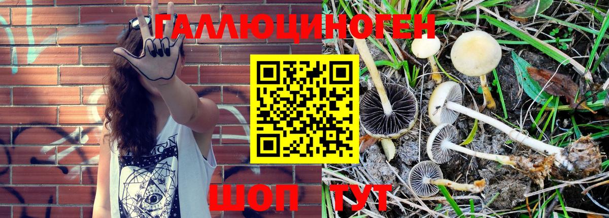 Галлюциногенные грибы MAGIC MUSHROOMS Семёнов