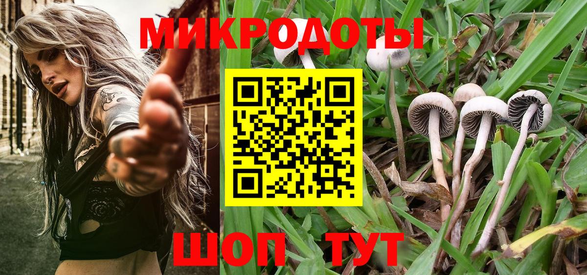 Галлюциногенные грибы MAGIC MUSHROOMS  Галлюциногенные грибы ЛСД  Семёнов  Вход с VPN 