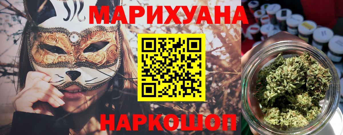 Конопля сатива Семёнов